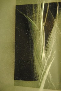 02-XIV. üveg (2)-001  